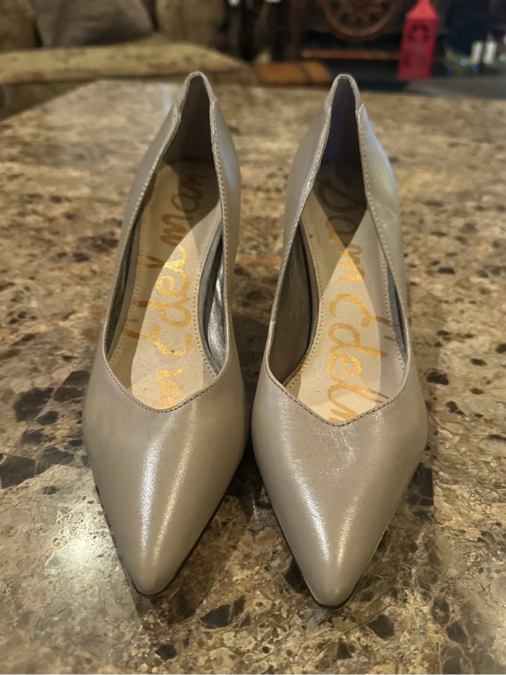 Sam Edelman Hazel Pointed Toe Pumps.